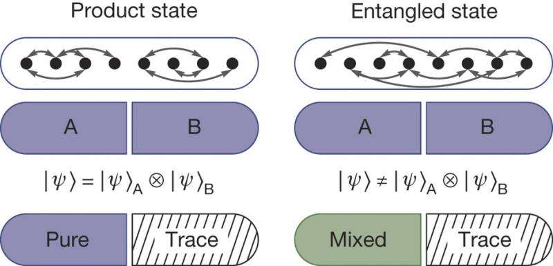 A way to study entanglement entropy between multi-body systems