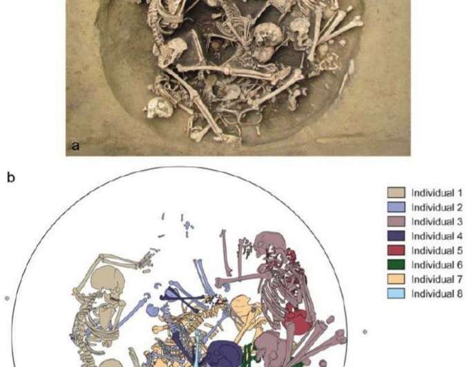 Skeletons found in pit in France offer evidence of Neolithic warfare
