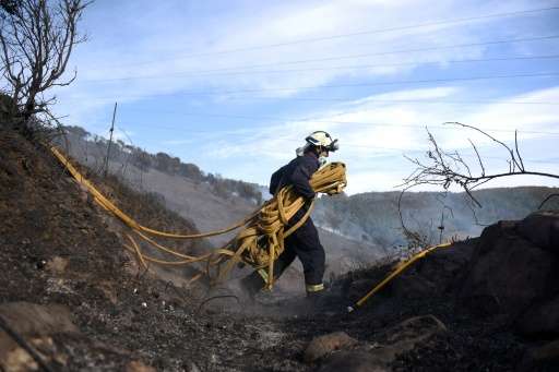 A firefighter carries works to put out wildfires near the northern Spanish Basque town of Berango on December 28, 2015