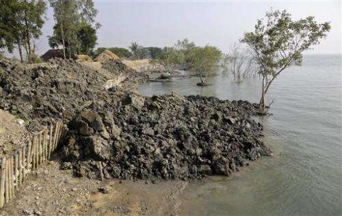 Millions at risk from rapid sea rise in swampy Sundarbans