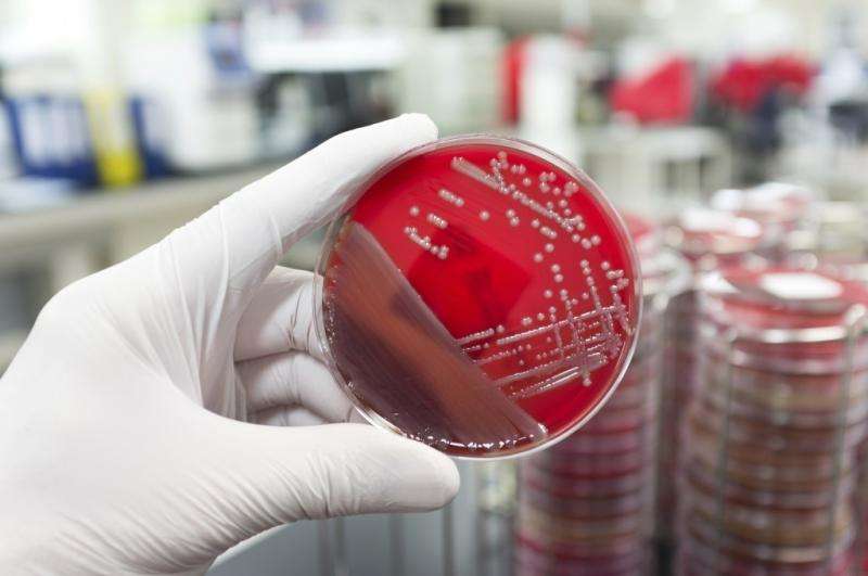 研究发现，有希望的新抗菌素可能对抗耐药的MRSA感染