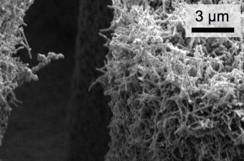 Using viruses to augment boiling and condensation processes