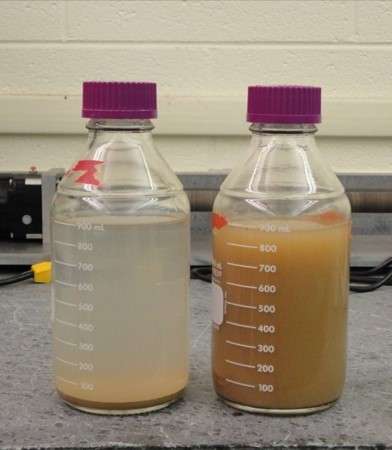 Researchers study inexpensive process to clean water in developing nations