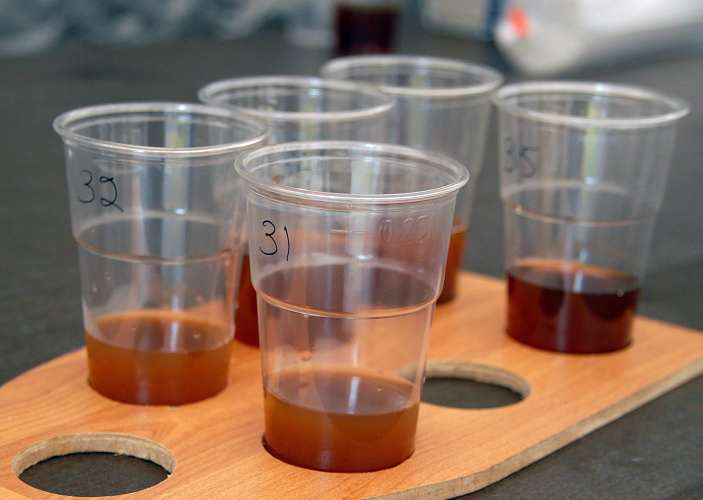 Researchers scientifically characterize Finnish sahti beer