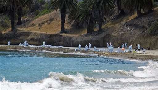 California beach to reopen two months after oil spill