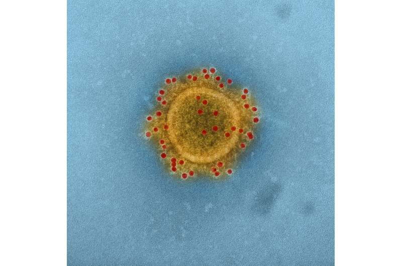 Experimental MERS vaccine shows promise in animal studies