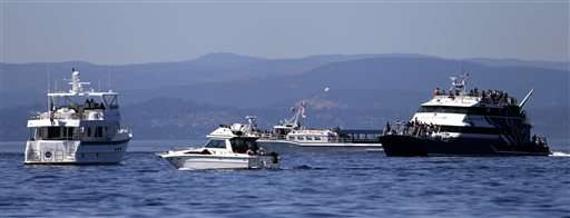 Patrols keep US boaters in line, protect killer whales