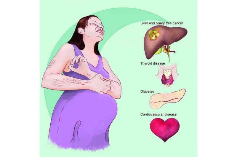 研究与肝癌和其他疾病的妊娠肝内胆汁淤积联系在一起