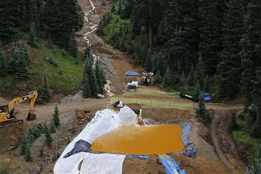 Researchers find heavy metals along river after mine spill