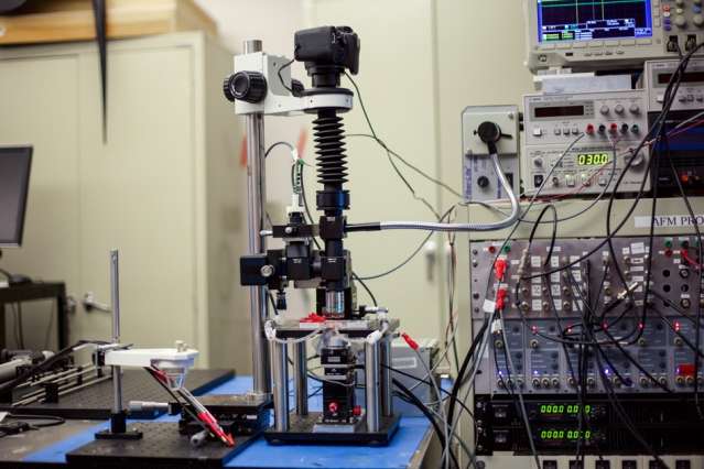 New microscope creates near-real-time videos of nanoscale processes