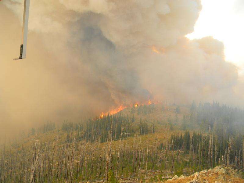 New research findings reveal how wildfires spread