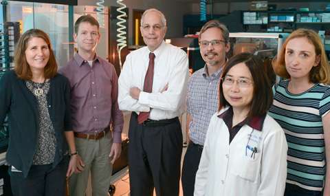 Researchers discover molecule that accelerates tissue regeneration after bone marrow transplants