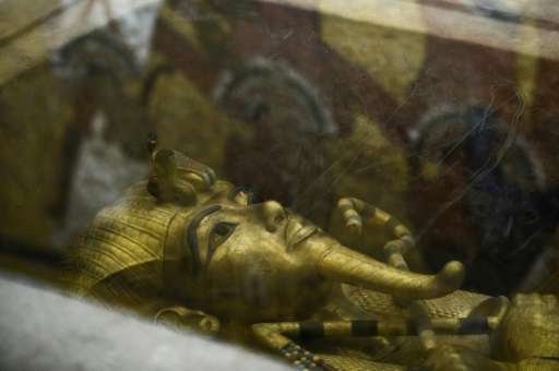 A picture taken on September 28, 2015 shows the golden sarcophagus of King Tutankhamun in his burial chamber in the Valley of th