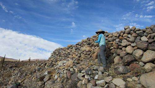 Researcher examines Atacama Desert farm fields abandoned 500 years ago