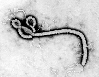 Researchers help biomed company land FDA approval for Ebola detection