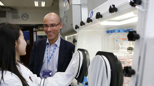 Scientists decipher key steps in cancer development to improve treatment