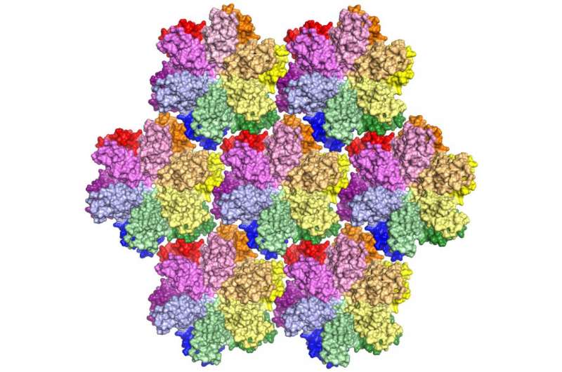 Scientists Unravel Elusive Structure of HIV Protein