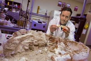 STUDY SUGGESTS THAT DINOSAURS WERE WARM-BLOODED