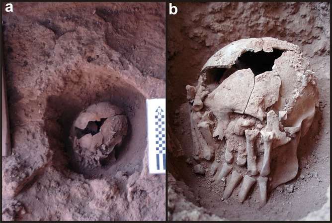 9,000-year-old case of ritualistic beheading may be oldest in the Americas