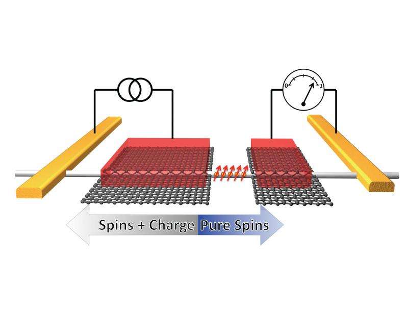 Researchers detect spin precession in silicon nanowires
