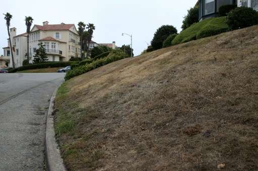 A brown lawn is seen in front of a home in San Francisco, California, due to severe drought in the state