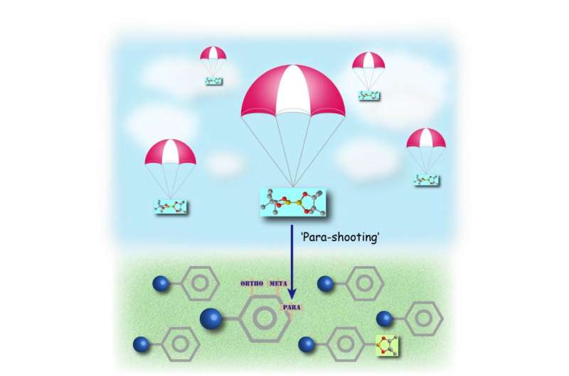 A bulky catalyst induces pinpoint targeting on benzene to create bioactive molecules