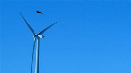 Advocacy group: Wind turbine rules needed to protect birds