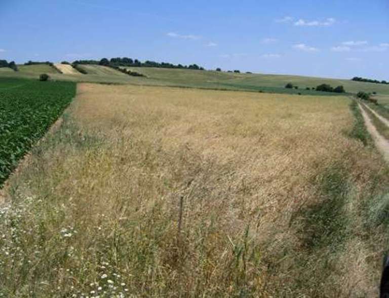 Agrarian landscapes have a strong influence on biodiversity