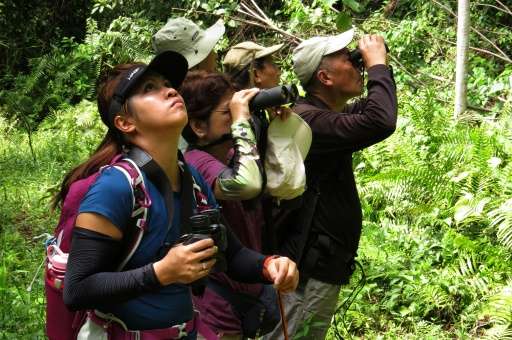A group of Manila-based bird watchers, accompanied by local guide Felizardo Goring (R), look for birds in a remote forest in Bis