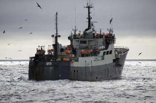 A handout photo from Sea Shepherd taken on December 17, 2014 shows the Nigerian-flagged boat, the Thunder, in the Southern Ocean