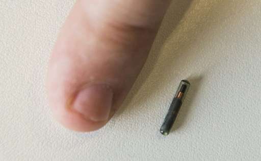 A Kaspersky employee places his thumb next to the grain-sized NFC (Near Field Communications) chip