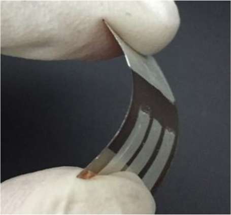 All-plastic solar cell could help power future flexible electronics