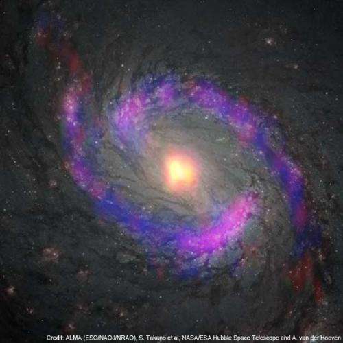 ALMA reveals surprisingly mild environment around a supermassive black hole