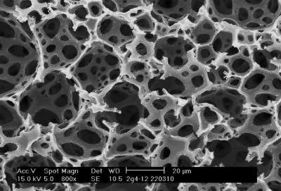 Alvetex 3D cell culture material.