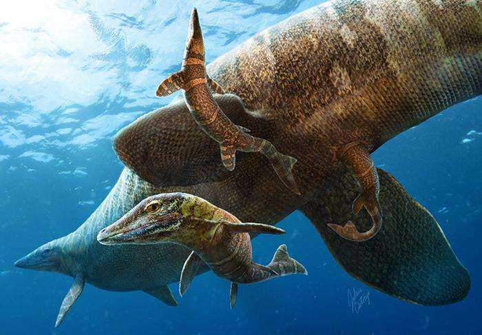 A new beginning for baby mosasaurs