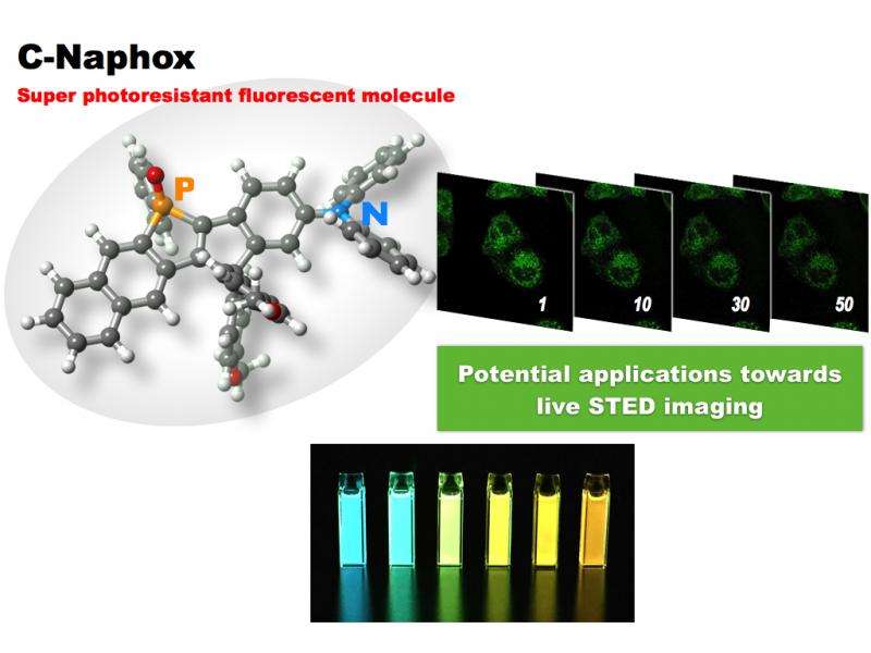 A new molecular tool for continuous super-resolution fluorescence microscopy