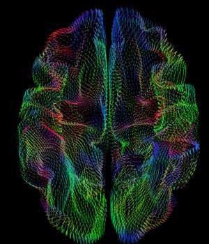 A new wrinkle: Geometry of brain's outer surface correlates with genetic heritage