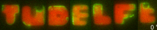 Animated gif of TU DELFT letters E.coli