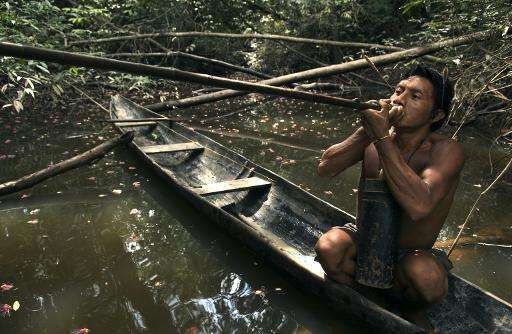 An Indian Makuna tribesman living in the Colombian Amazon jungle goes hunting in November 2004