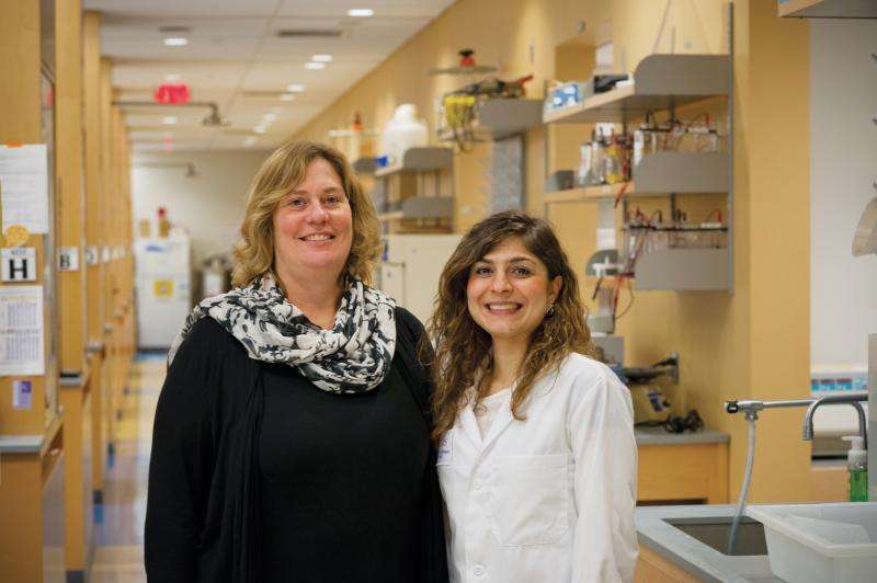 An island in the Mediterranean is furthering diabetes research in New Jersey