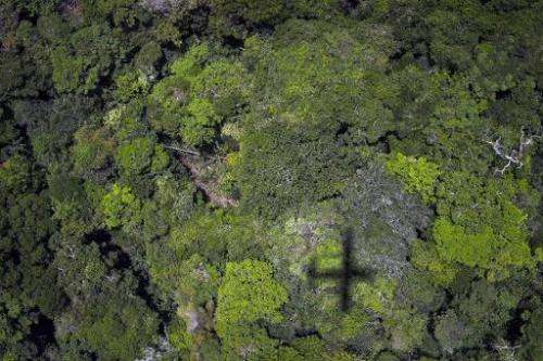 An overhead view of the trees in the Amazon forest on October 14, 2014 in Brazil