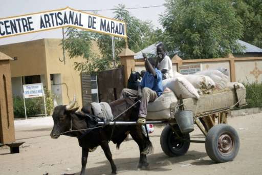 An ox taxi pulls its load in the Niger town of Maradi
