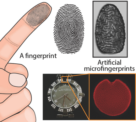 Anti-counterfeit polymers work like fingerprints