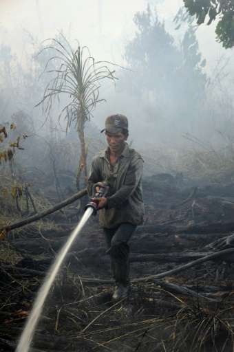 A palm oil concession worker extinguishes a forest fire in Kampar district, Riau province on Sumatra island on June 29, 2013