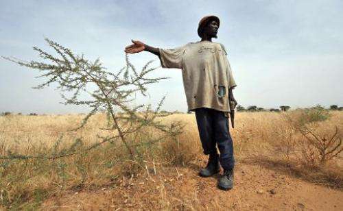 A peasant from the village of Selbo in northern Burkina Faso gestures near grass he planted to help stop the advance of the Saha