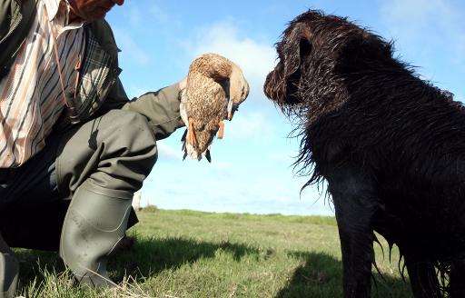 A petition for a referendum on curbing bird hunting garnered 44,000 signatures