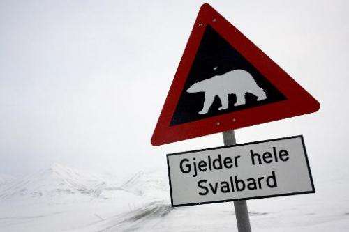 A polar bear has injured the face and arm of a Czech tourist in Norway