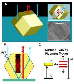 A polaritonic photonic crystal made by DNA-programmable assembly