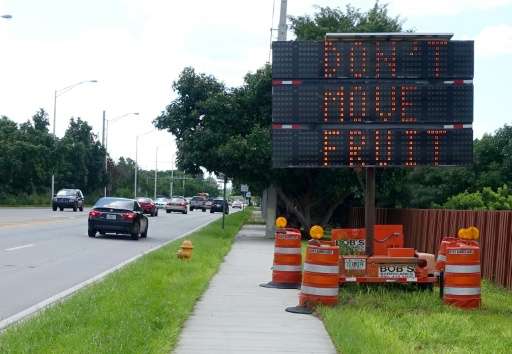 A &quot;Don't move fruit,&quot; sign is seen on the road into Redland, Florida, on October 2, 2015 where the Oriental fruit fly 