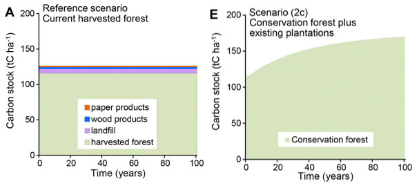 Are forest climate mitigation strategies one-size-fits-all?